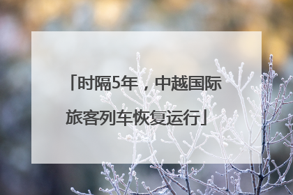 时隔5年，中越国际旅客列车恢复运行
