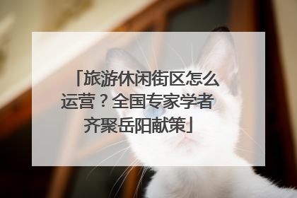 旅游休闲街区怎么运营？全国专家学者齐聚岳阳献策