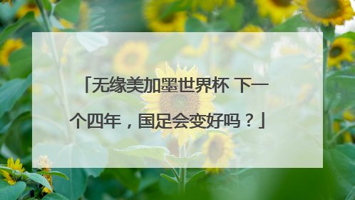 无缘美加墨世界杯 下一个四年,国足会变好吗?