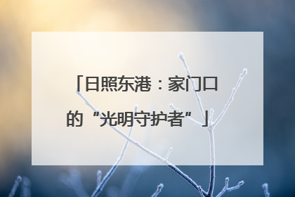 日照东港：家门口的“光明守护者”