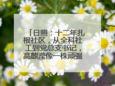 日照：十二年扎根社区，从全科社工到党总支书记，高麒滢像一株顽强的巴根草，把根深深扎进基层的土壤——“巴根草书记”的夏日叙事