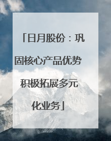 日月股份：巩固核心产品优势 积极拓展多元化业务