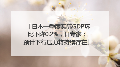 日本一季度实际GDP环比下降0.2%，日专家：预计下行压力将持续存在
