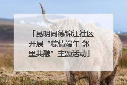昆明同德锦江社区开展“粽情端午 邻里共融”主题活动