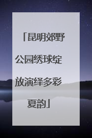昆明郊野公园绣球绽放演绎多彩夏韵