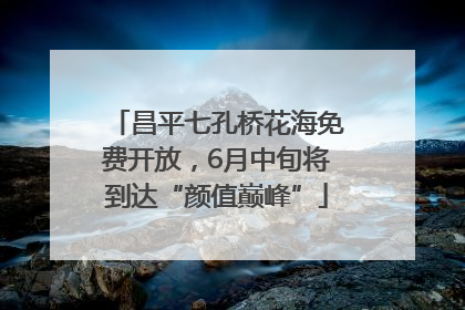 昌平七孔桥花海免费开放，6月中旬将到达“颜值巅峰”