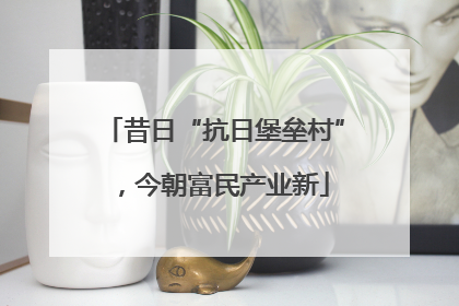 昔日“抗日堡垒村”，今朝富民产业新