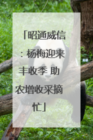 昭通威信：杨梅迎来丰收季 助农增收采摘忙