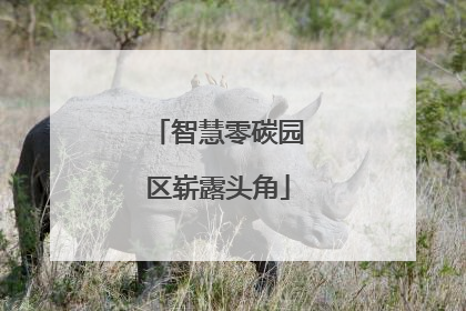 智慧零碳园区崭露头角
