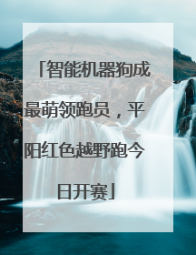 智能机器狗成最萌领跑员，平阳红色越野跑今日开赛