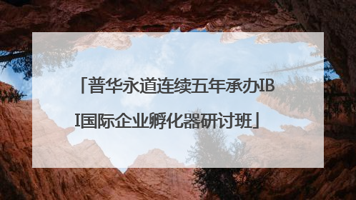 普华永道连续五年承办IBI国际企业孵化器研讨班