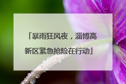 暴雨狂风夜，淄博高新区紧急抢险在行动