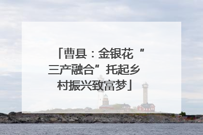 曹县：金银花“三产融合”托起乡村振兴致富梦