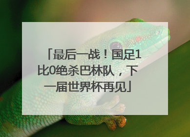 最后一战！国足1比0绝杀巴林队，下一届世界杯再见