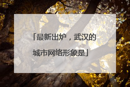 最新出炉，武汉的城市网络形象是