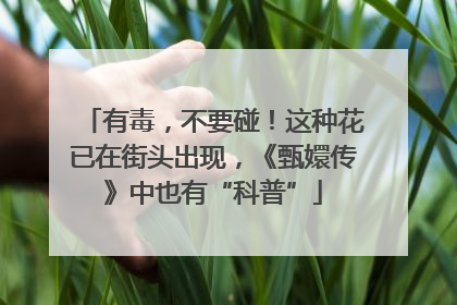 有毒，不要碰！这种花已在街头出现，《甄嬛传》中也有“科普”