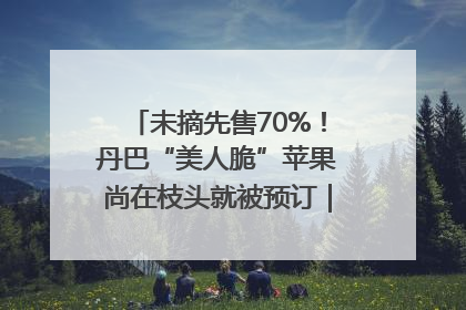 未摘先售70%！丹巴“美人脆”苹果尚在枝头就被预订｜长征路上看四川