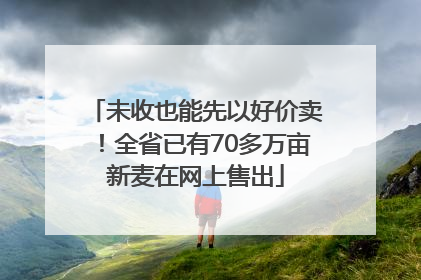 未收也能先以好价卖！全省已有70多万亩新麦在网上售出