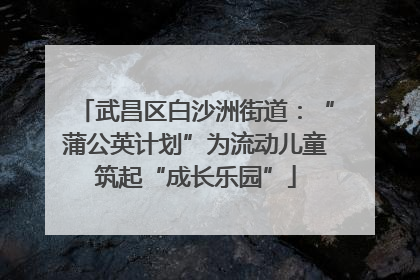 武昌区白沙洲街道：“蒲公英计划”为流动儿童筑起“成长乐园”