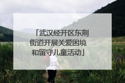 武汉经开区东荆街道开展关爱困境和留守儿童活动