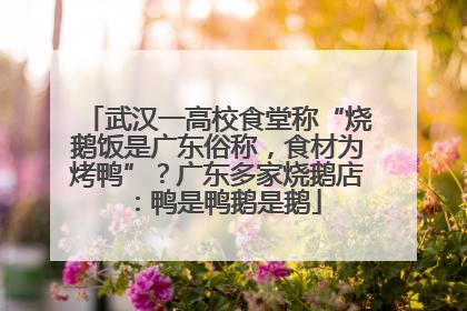 武汉一高校食堂称“烧鹅饭是广东俗称，食材为烤鸭”？广东多家烧鹅店：鸭是鸭鹅是鹅
