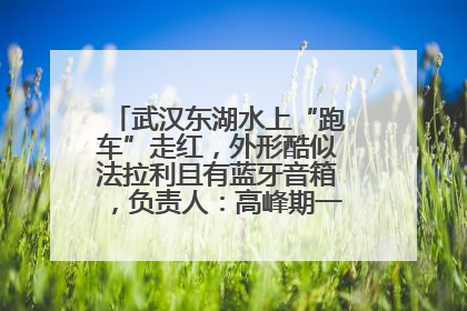 武汉东湖水上“跑车”走红，外形酷似法拉利且有蓝牙音箱，负责人：高峰期一两百人排队