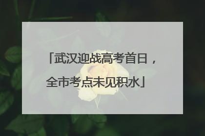 武汉迎战高考首日，全市考点未见积水