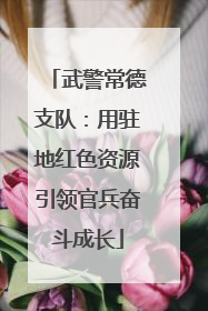 武警常德支队：用驻地红色资源引领官兵奋斗成长