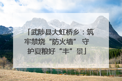 武陟县大虹桥乡：筑牢禁烧“防火墙” 守护夏粮好“丰”景