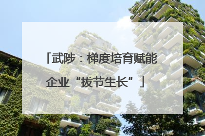 武陟：梯度培育赋能企业“拔节生长”
