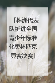 株洲代表队挺进全国青少年标准化奥林匹克竞赛决赛
