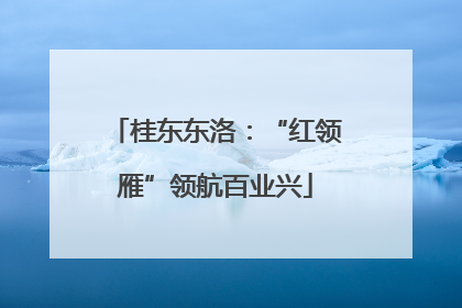 桂东东洛：“红领雁”领航百业兴