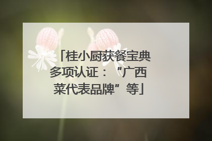 桂小厨获餐宝典多项认证：“广西菜代表品牌”等