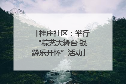 桂庄社区：举行“粽艺大舞台 银龄乐开怀”活动