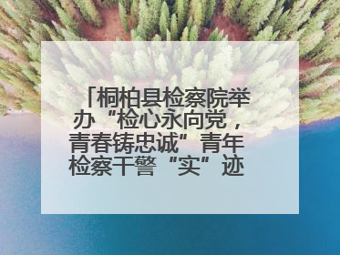 桐柏县检察院举办“检心永向党，青春铸忠诚”青年检察干警“实”迹展示活动