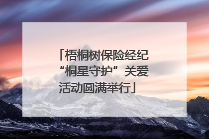 梧桐树保险经纪“桐星守护”关爱活动圆满举行