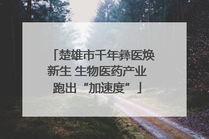 楚雄市千年彝医焕新生 生物医药产业跑出“加速度”