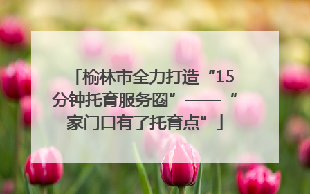 榆林市全力打造“15分钟托育服务圈”——“家门口有了托育点”