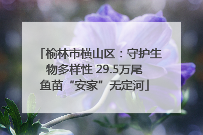 榆林市横山区：守护生物多样性 29.5万尾鱼苗“安家”无定河