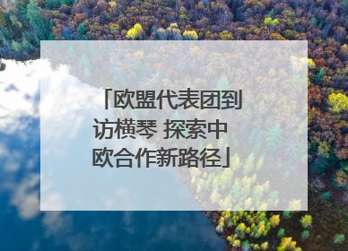 欧盟代表团到访横琴 探索中欧合作新路径