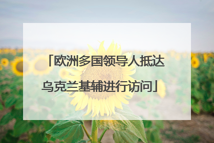 欧洲多国领导人抵达乌克兰基辅进行访问