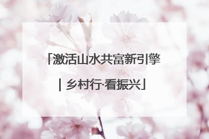 激活山水共富新引擎｜乡村行·看振兴