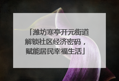 潍坊寒亭开元街道解锁社区经济密码，赋能居民幸福生活