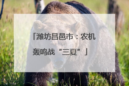 潍坊昌邑市：农机轰鸣战“三夏”