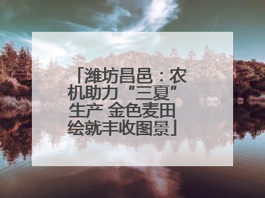 潍坊昌邑：农机助力“三夏”生产 金色麦田绘就丰收图景