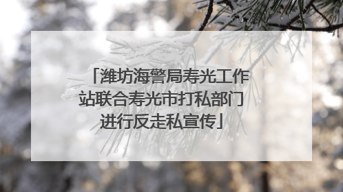潍坊海警局寿光工作站联合寿光市打私部门进行反走私宣传