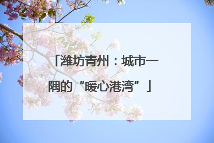 潍坊青州：城市一隅的“暖心港湾”