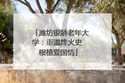 潍坊银龄老年大学：重温烽火史 根植爱国情