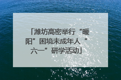 潍坊高密举行“暖阳”困境未成年人“六一”研学活动