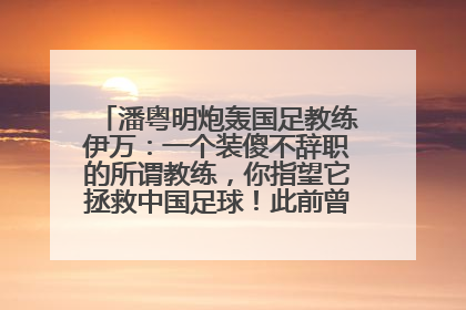 潘粤明炮轰国足教练伊万：一个装傻不辞职的所谓教练，你指望它拯救中国足球！此前曾多次发文评价国足